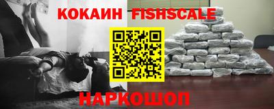 гашик Моздок