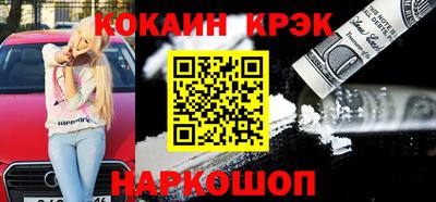 гашик Моздок