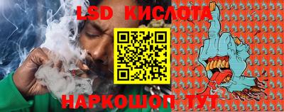 гашик Моздок