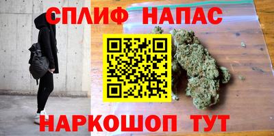гашик Моздок