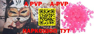 гашик Моздок