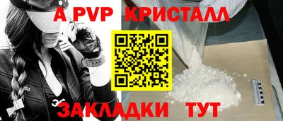 гашик Моздок