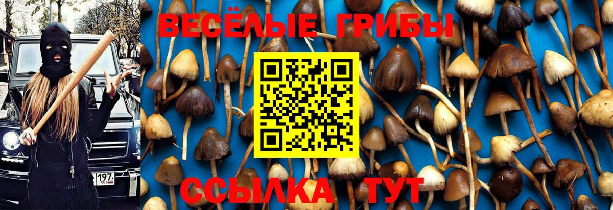 Чусовой  Псилоцибиновые грибы мухоморы  Вход с VPN  цена наркотик  Псилоцибиновые грибы GOLDEN TEACHER 